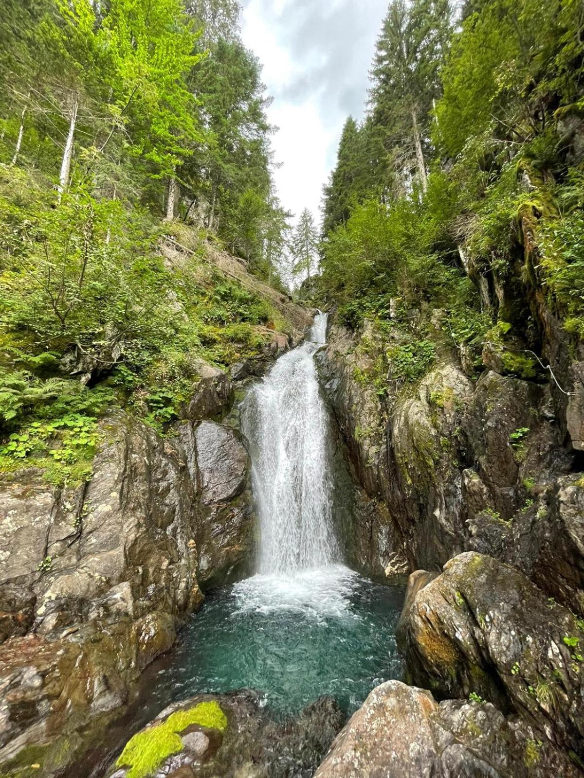 Nigglerhof Daire Liesing Dış mekan fotoğraf